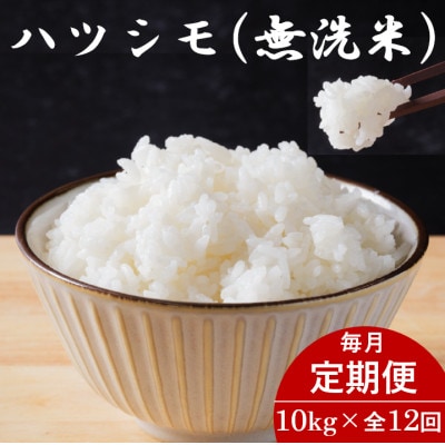【毎月定期便】岐阜県産ハツシモ(無洗米) 10kg全12回