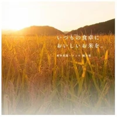 【2ヵ月毎定期便】岐阜県産ハツシモ(無洗米) 10kg全2回