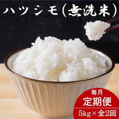 【毎月定期便】岐阜県産ハツシモ(無洗米) 5kg全2回