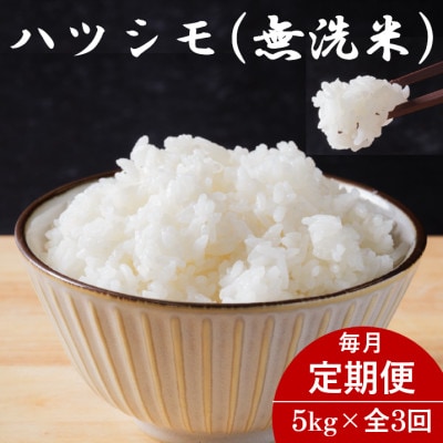 【毎月定期便】岐阜県産ハツシモ(無洗米) 5kg全3回