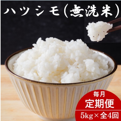 【毎月定期便】岐阜県産ハツシモ(無洗米) 5kg全4回