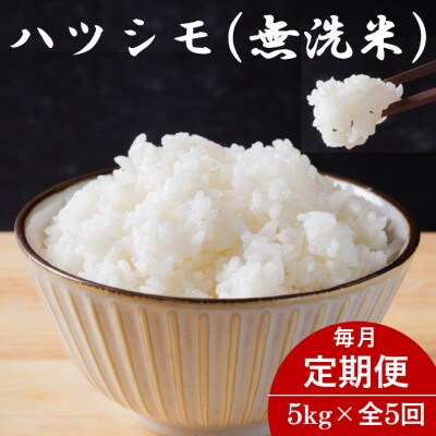 【毎月定期便】岐阜県産ハツシモ(無洗米) 5kg全5回