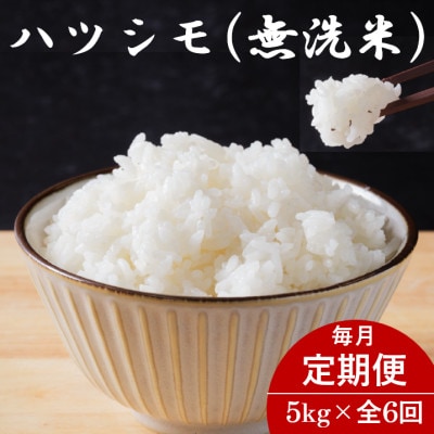 【毎月定期便】岐阜県産ハツシモ(無洗米) 5kg全6回