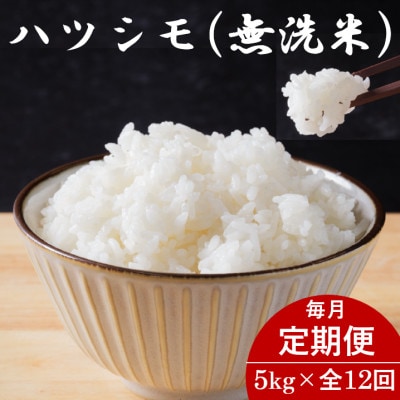 【毎月定期便】岐阜県産ハツシモ(無洗米) 5kg全12回