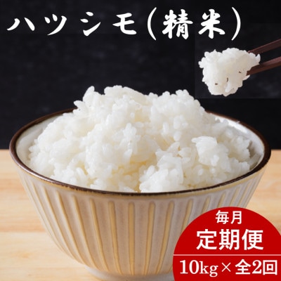 【毎月定期便】岐阜県産ハツシモ(精米) 10kg全2回