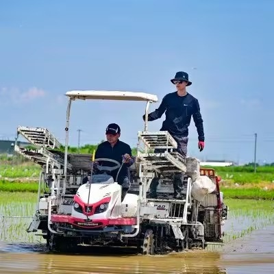 【毎月定期便】岐阜県産ハツシモ(精米) 10kg全5回