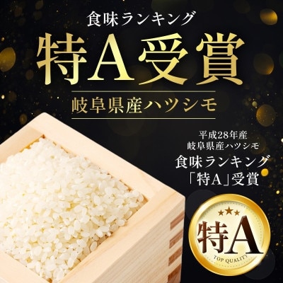【2ヵ月毎定期便】岐阜県産ハツシモ(精米) 10kg全4回
