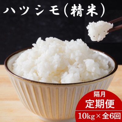 【2ヵ月毎定期便】岐阜県産ハツシモ(精米) 10kg全6回