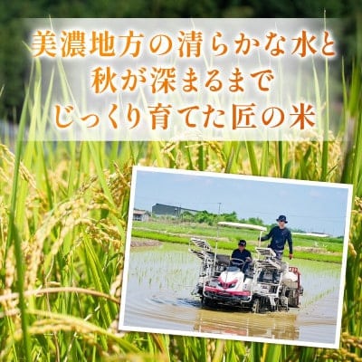 【毎月定期便】岐阜県産ハツシモ(精米) 5kg全3回