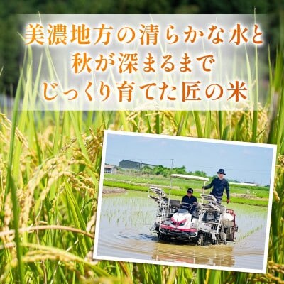 【毎月定期便】岐阜県産ハツシモ(精米) 5kg全4回