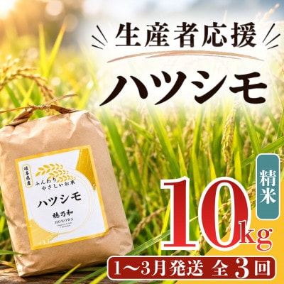 【発送月固定定期便】【先行予約】生産者応援!岐阜県産ハツシモ(精米)10kg【1～3月発送】全3回