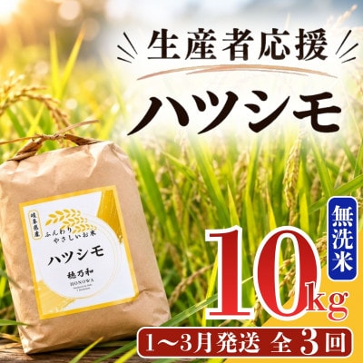 【発送月固定定期便】【先行予約】生産者応援!岐阜県産ハツシモ(無洗米)10kg【1～3月】全3回