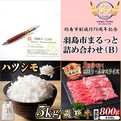 羽島市まるっと詰め合わせ(B)【複数個口で配送】