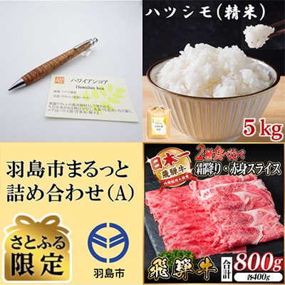 【さとふる限定】羽島市まるっと詰め合わせA　ペンシル・ハツシモ・飛騨牛【複数個口で配送】