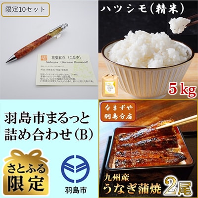 【さとふる限定】羽島市まるっと詰め合わせB　ペンシル・ハツシモ・九州産うなぎ蒲焼【複数個口で配送】