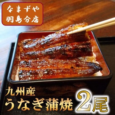 【さとふる限定】羽島市まるっと詰め合わせB　ペンシル・ハツシモ・九州産うなぎ蒲焼【複数個口で配送】