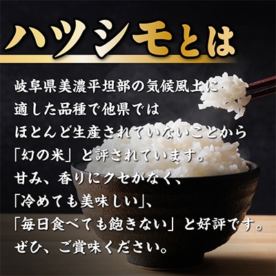 羽島市まるっと詰め合わせ(A)ペンシル(工房楔)・ハツシモ(精米)・飛騨牛【複数個口で配送】