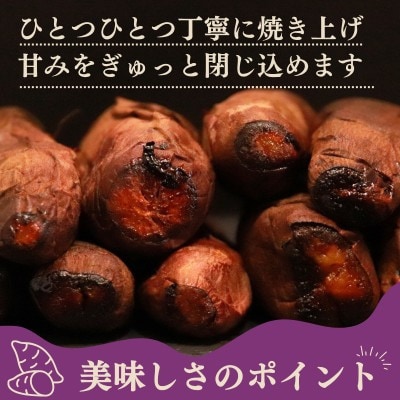 【訳あり】ハーフカットやきいも 350g×6袋 無添加 国産紅はるか(茨城県産・鹿児島県産等)冷凍