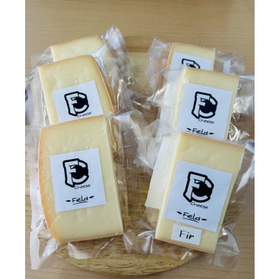 セミハードチーズ　Field　2種セット