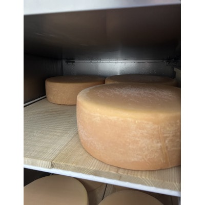 セミハードチーズ　Field　2種セット