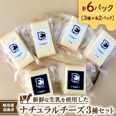 FC　Cheese　ナチュラルチーズ3種×2パック　計6パックセット