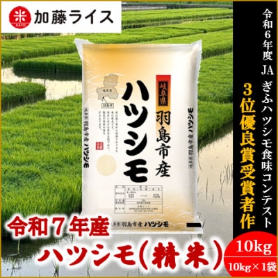 令和7年産 岐阜県羽島市産ハツシモ 精米10kg(10kg×1袋)