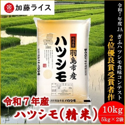 令和7年産 岐阜県羽島市産ハツシモ 精米10kg(5kg×2袋)