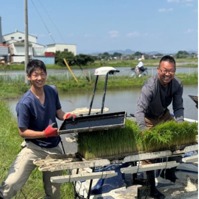 令和7年産 岐阜県羽島市産ハツシモ 精米20kg(10kg×2袋)
