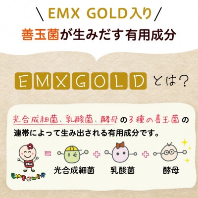 美里のおいしいごはん(コシヒカリ100%使用)　200g入×10個　防腐剤不使用　パックご飯