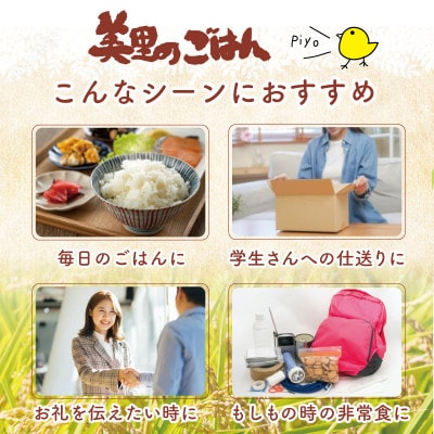 美里のおいしいごはん(コシヒカリ100%使用)　200g入×8個　防腐剤不使用　パックご飯