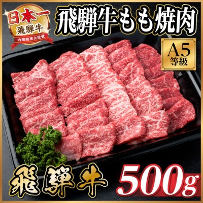 飛騨牛A5等級　もも焼肉　500g(焼肉・BBQ用)