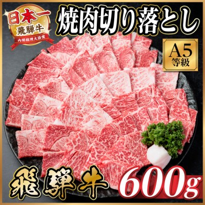 飛騨牛A4～A5等級　焼肉切り落とし　600g(焼肉・BBQ用)