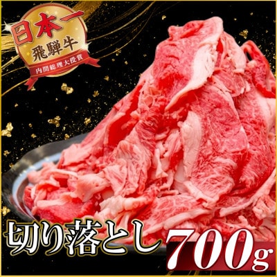 飛騨牛 切り落とし700g