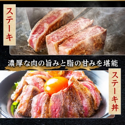 飛騨牛 ヒレステーキ300g(150g×2枚) 養老ミート 贈答