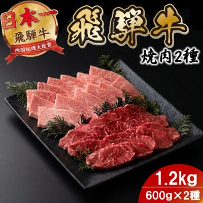 プチ贅沢!飛騨牛焼肉2種セット6人前1.2kg 赤身・霜降り(モモ・カタ/バラカルビ)