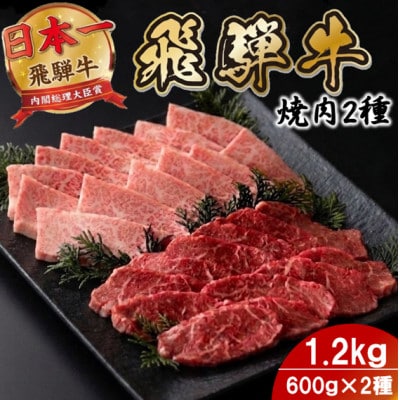 プチ贅沢!飛騨牛焼肉2種セット6人前1.2kg 赤身・霜降り(モモ・カタ/バラカルビ)