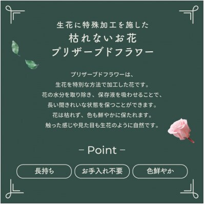 プリザーブドフラワーアレンジ 【プティ カーネーション(レッド)】