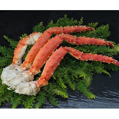 �y�I�̑�\!�z�{�C���^���o�K�j�r1.0kg �ӂ邳�Ɣ[�� ���� �I F4F-0629