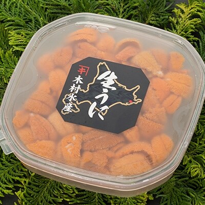生えぞバフンうに塩水詰め100g×2F4F-0569 | ふるさと納税のお礼品