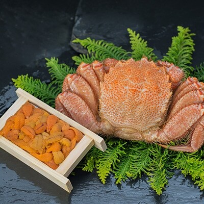 �{�C���уK�j500g×1��&�����ɐ�100g F4F-5334