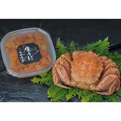 ボイル毛ガニ400g×1尾&塩水うに100g F4F-0560 | ふるさと納税のお礼品