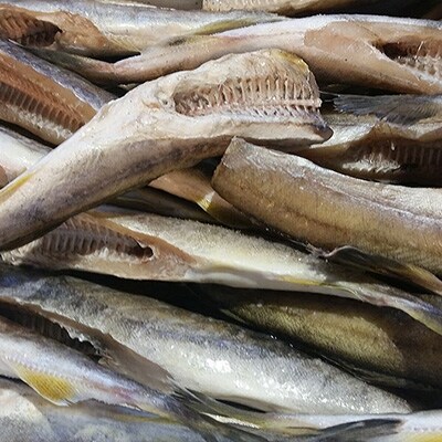 一夜干し氷下魚 こまい 寒風干し1 0kg入 Ta501 A124 お礼品詳細 ふるさと納税なら さとふる