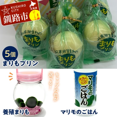 阿寒湖銘菓まりもプリン5個入と養殖まりもセット(ブルー) ふるさと納税 菓子 F4F-1863