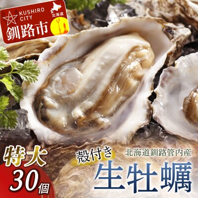 生牡蠣30個入(釧路管内産特大サイズ120g~150g) 【1月以降出荷】 F4F-0071