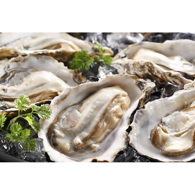 生牡蠣30個入(釧路管内産特大サイズ120g~150g) 【1月以降出荷】 F4F-0071
