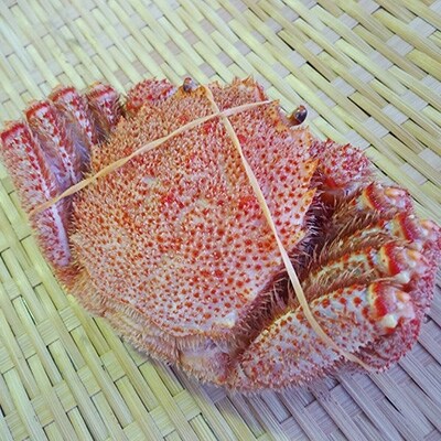 無添加いくら本漬150g×1　ボイル毛がに400g[Ta503-C089]
