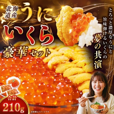 えぞバフンうに折60g×2 いくら醤油漬け90g×1 ふるさと納税 F4F-8829