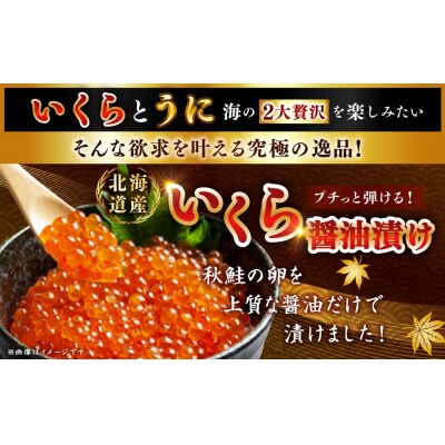 えぞバフンうに折60g×2 いくら醤油漬け90g×1 ふるさと納税 F4F-8829
