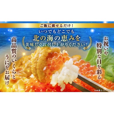 えぞバフンうに折60g×2 いくら醤油漬け90g×1 ふるさと納税 F4F-8829