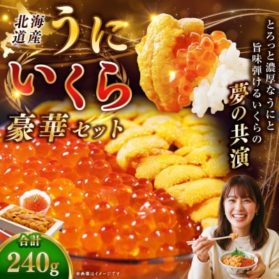 えぞバフンうに折150g×1 いくら醤油漬け90g×1 北海道 釧路 F4F-8830